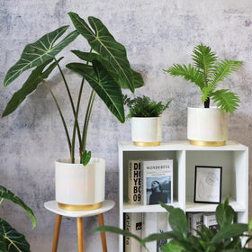 Gepege Windowsill decor pot on a bright kitchen ledge