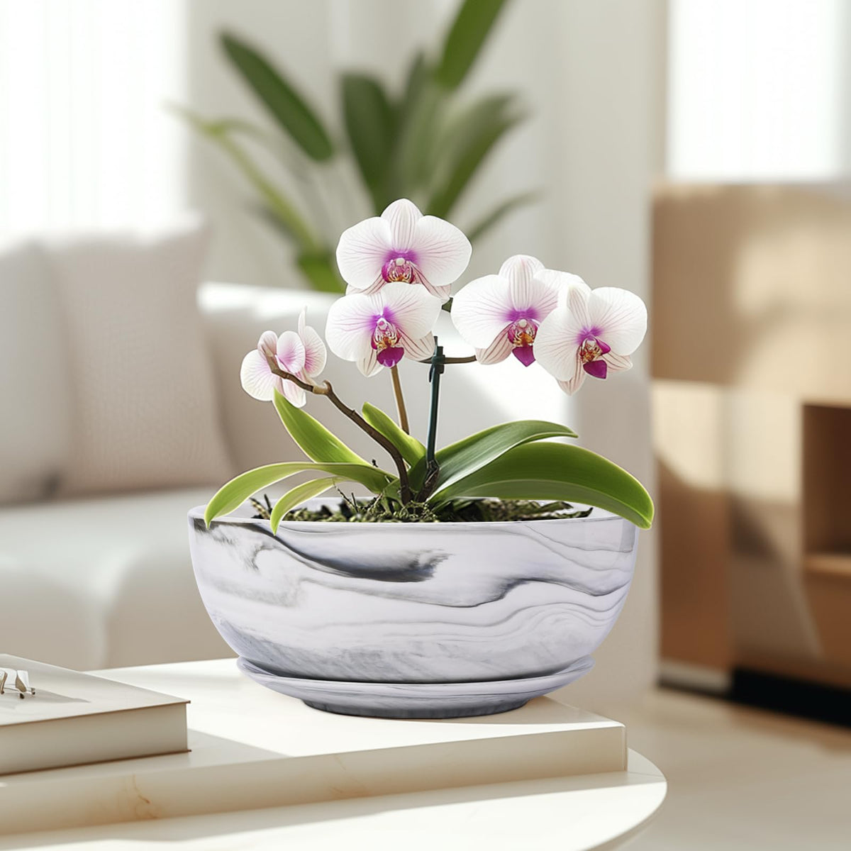 G EPGardening Bonsai Pots desk-office-decor enhances workspace aesthetics.