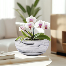 G EPGardening Bonsai Pots desk-office-decor enhances workspace aesthetics.