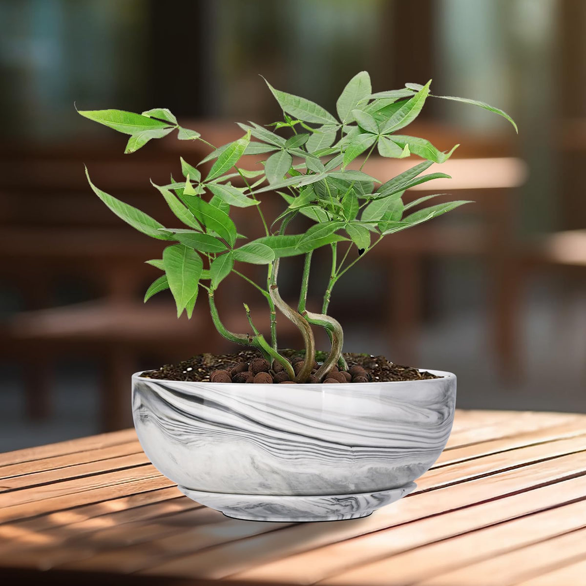 G EPGardening Bonsai Pots gift-idea for plant lovers.