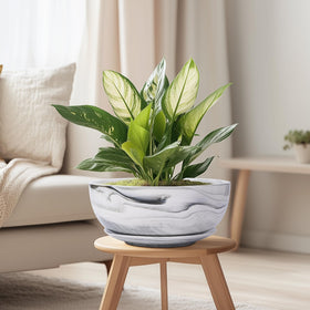 G EPGardening Bonsai Pots indoor-outdoor-use flexibility suits any living space.