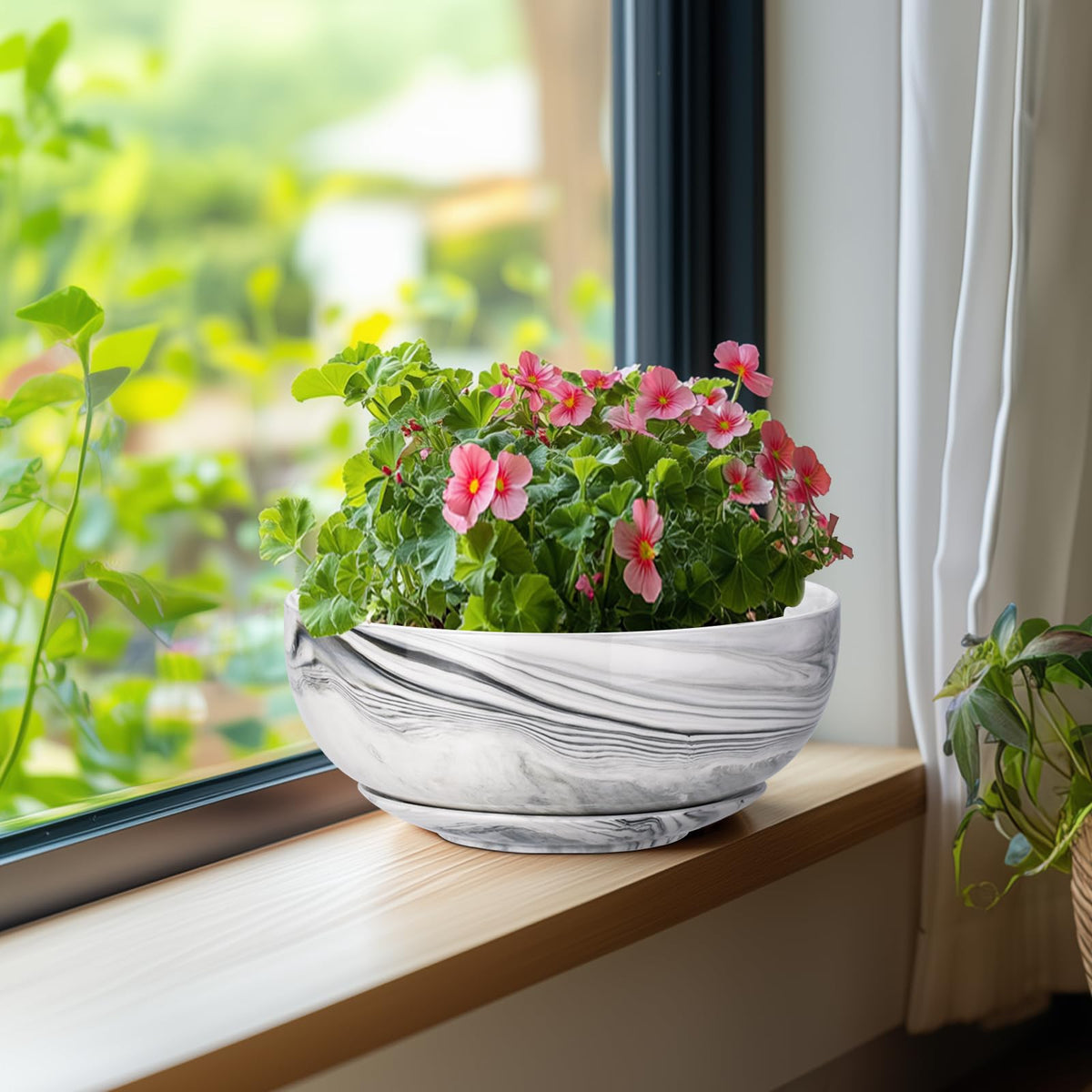 G EPGardening Bonsai Pots perfect for succulents, cacti and herbs.