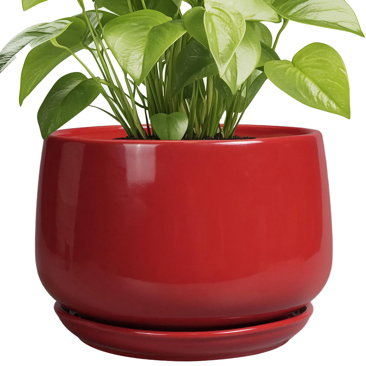 G EPGardening ceramic plant pot with drainage and saucer for indoor and outdoor use