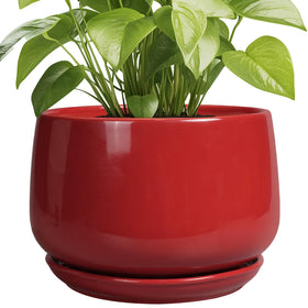 G EPGardening ceramic plant pot with drainage and saucer for indoor and outdoor use