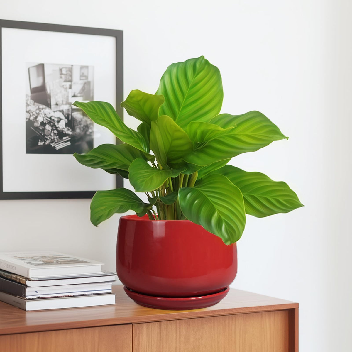 G EPGardening red gloss planter complements modern interiors while housing a variety of indoor plants.