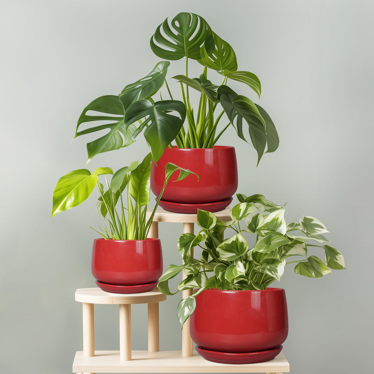 G EPGardening round planter fits desks and windowsills for stylish home or office decor.