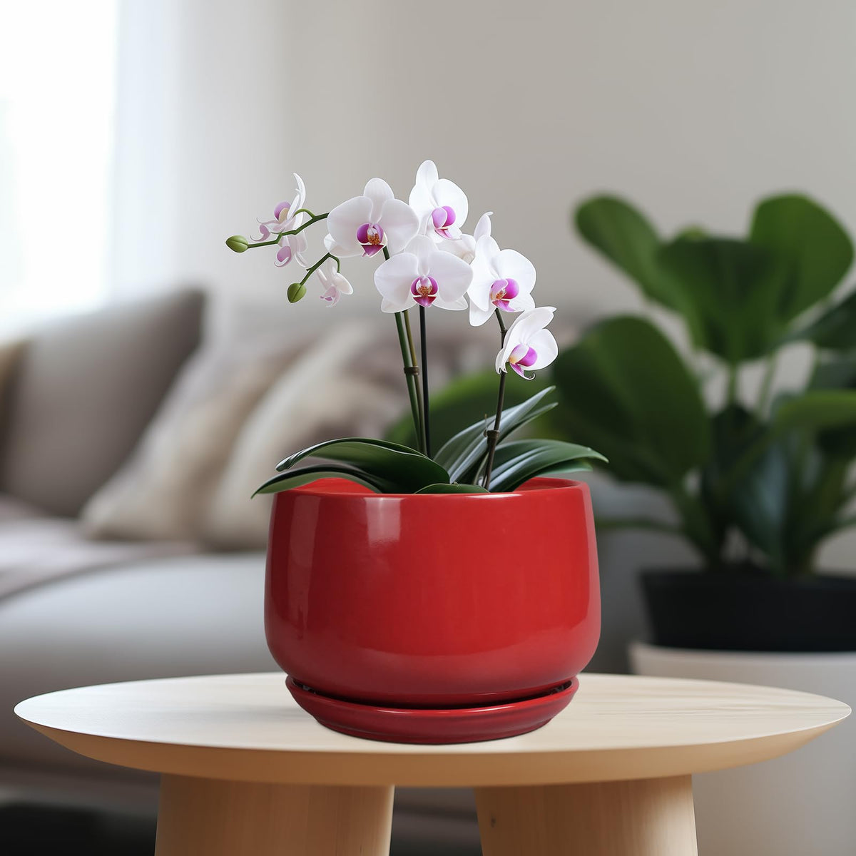 G EPGardening ceramic planter 7-inch red side view showcases curved contours ideal for living room decor.