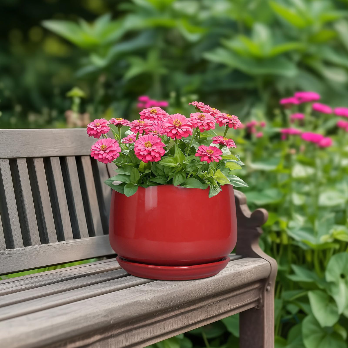 G EPGardening ceramic planter 7-inch red with saucer keeps spills contained and roots healthy.