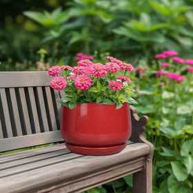 G EPGardening ceramic planter 7-inch red with saucer keeps spills contained and roots healthy.