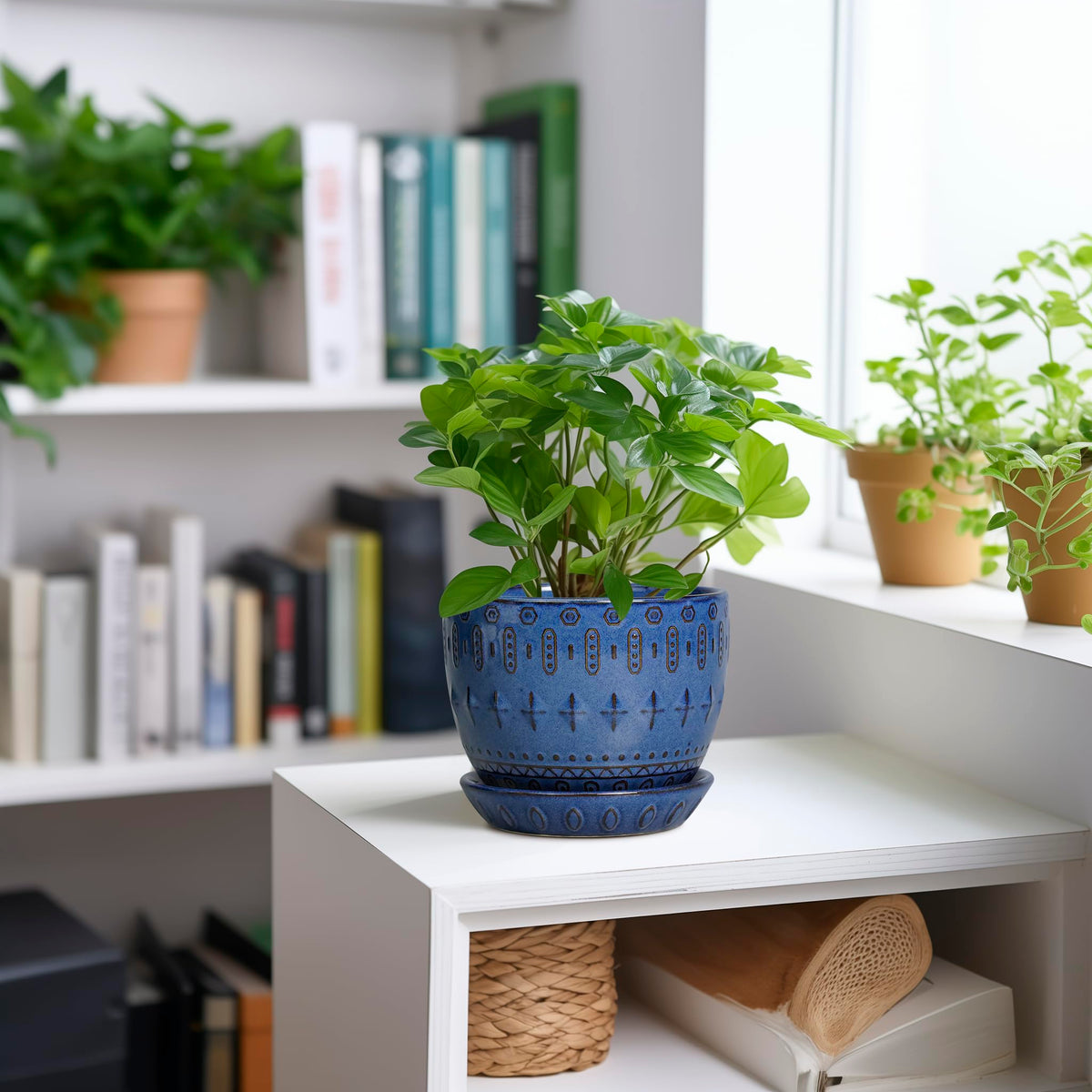 Blue ceramic planter by G EPGardening designed for versatile indoor or outdoor use.