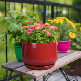 G EPGardening red ceramic planter with glossy glaze adds modern style to any room