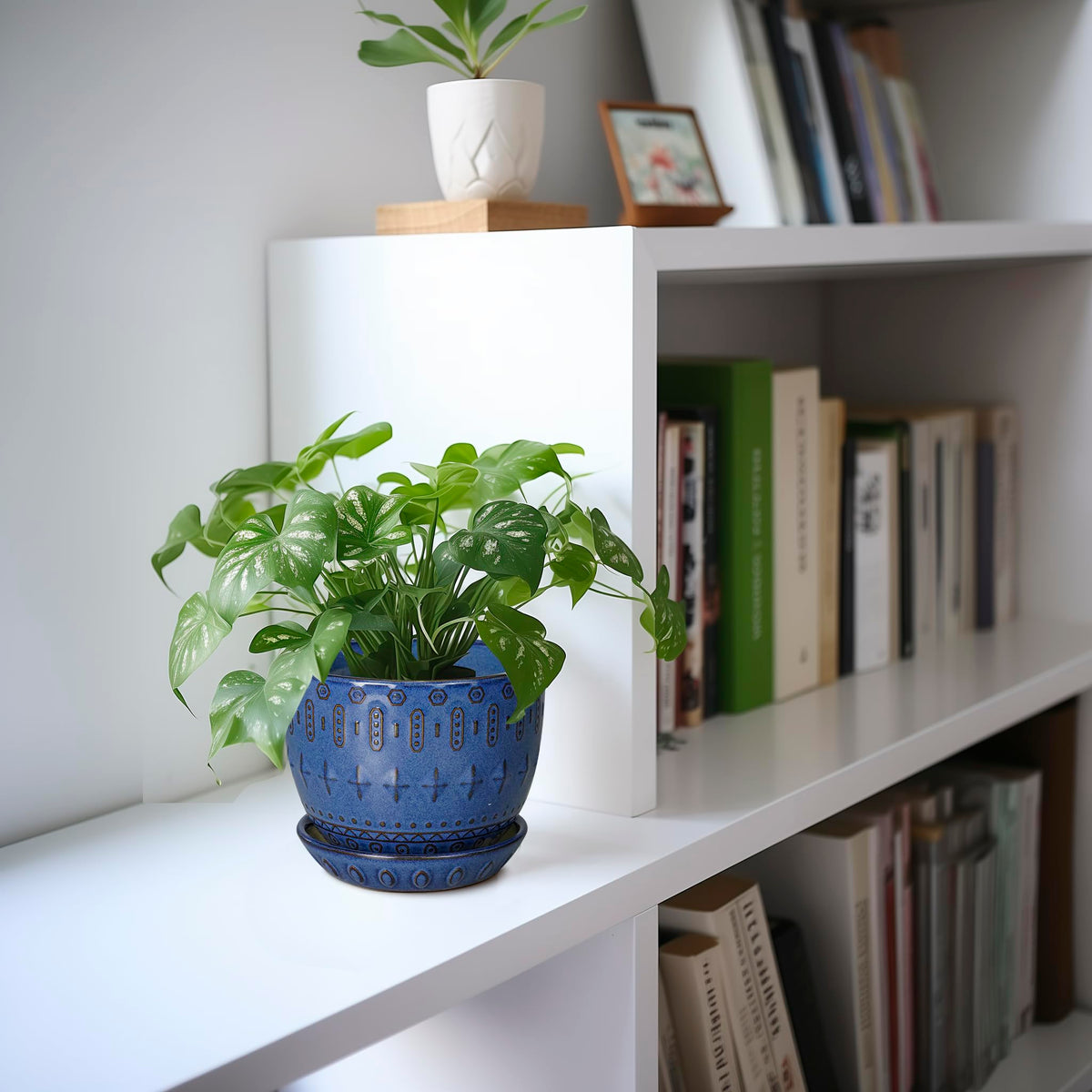 G EPGardening ceramic pot adds stylish home decor allure to any space.