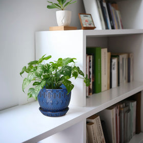 G EPGardening ceramic pot adds stylish home decor allure to any space.