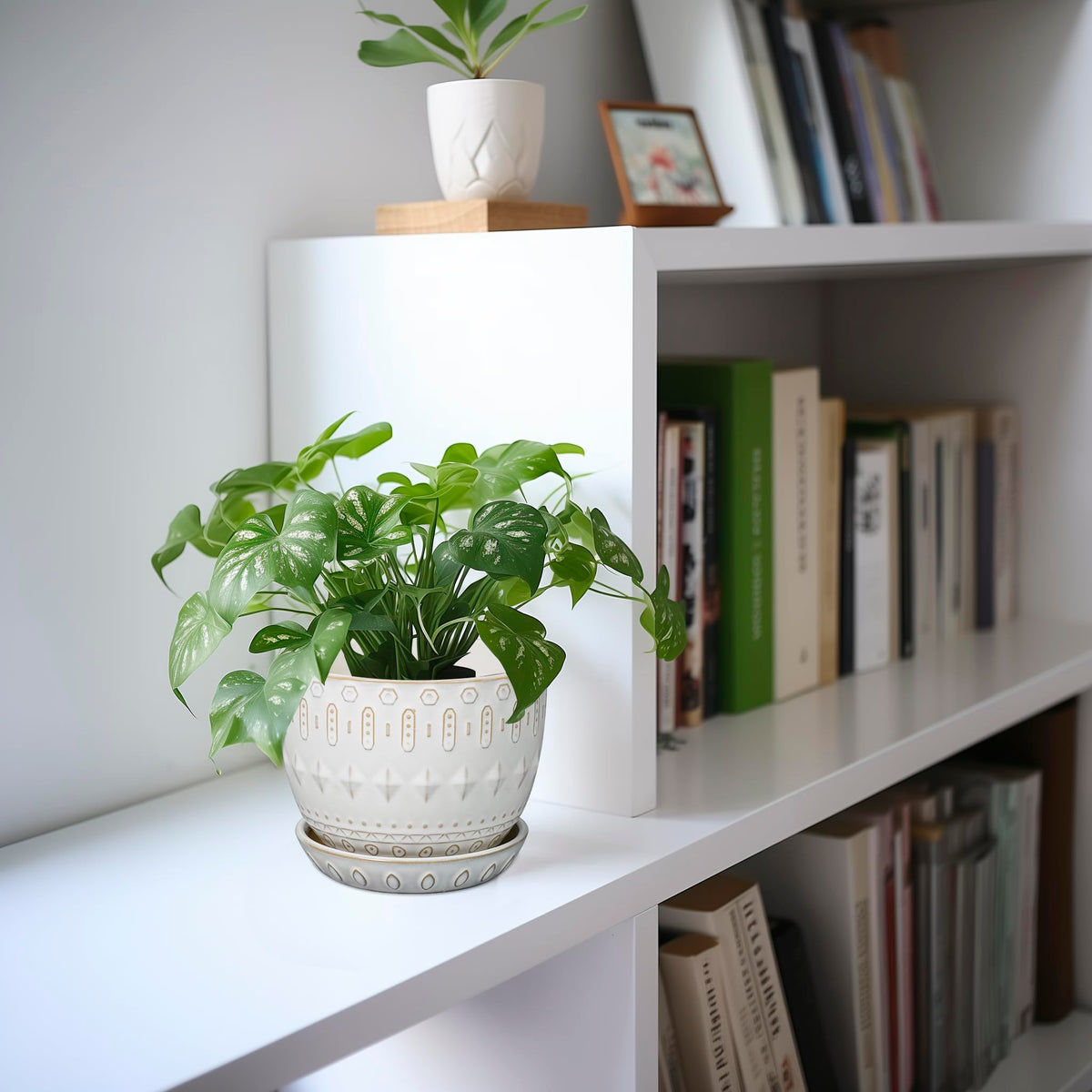 G EPGardening versatile indoor outdoor pot for patios and shelves