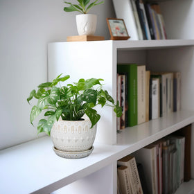 G EPGardening versatile indoor outdoor pot for patios and shelves