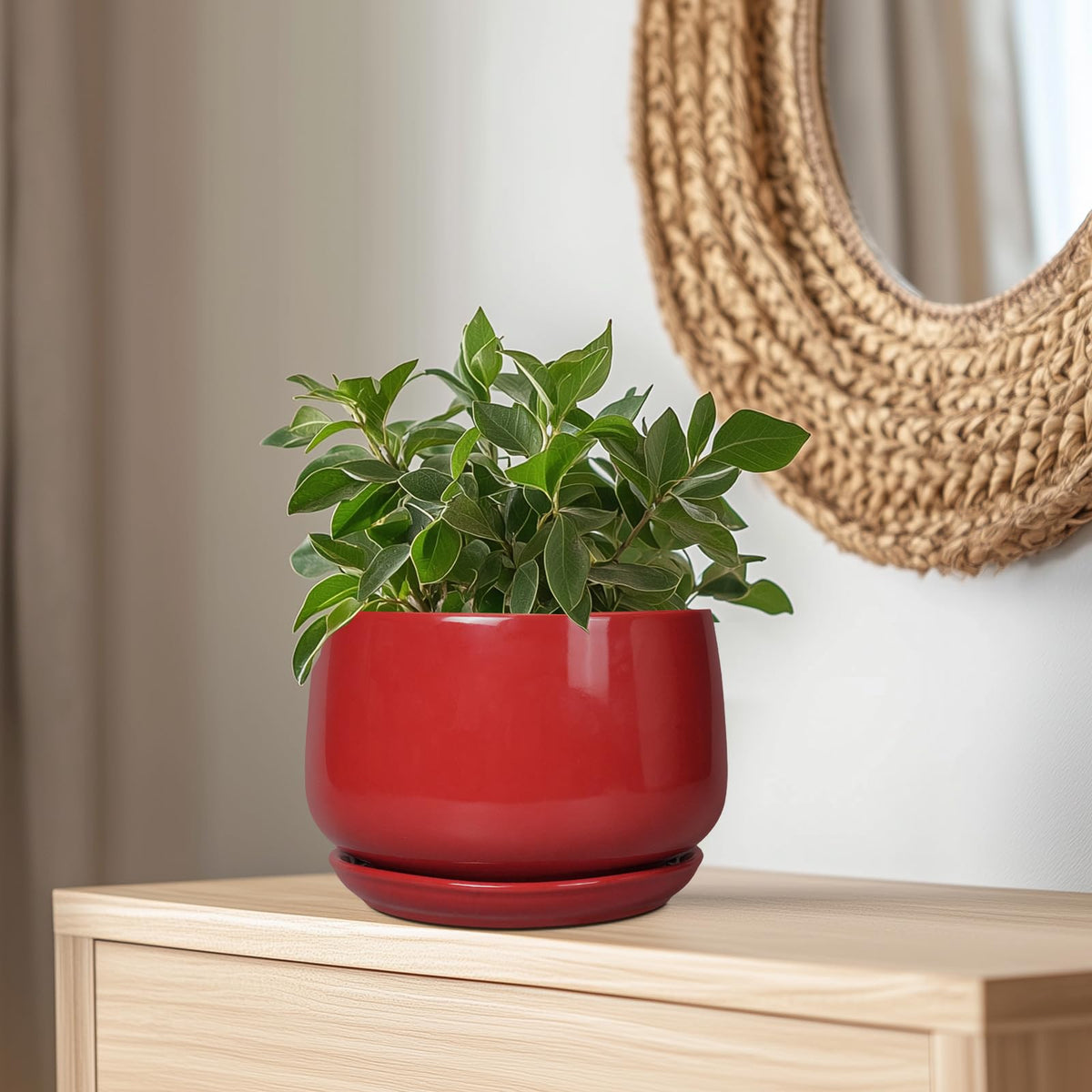 G EPGardening versatile ceramic pot sits nicely on tables or shelves
