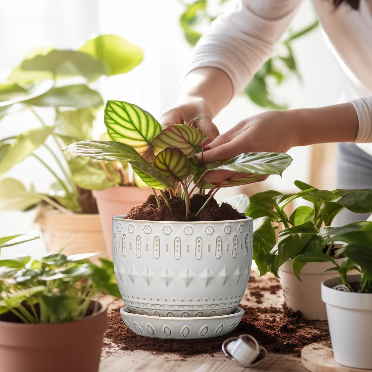 G EPGardening saucer with mesh keeps surfaces clean and dry