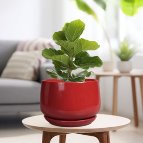 G EPGardening plant pot features drainage mesh to reduce soil loss