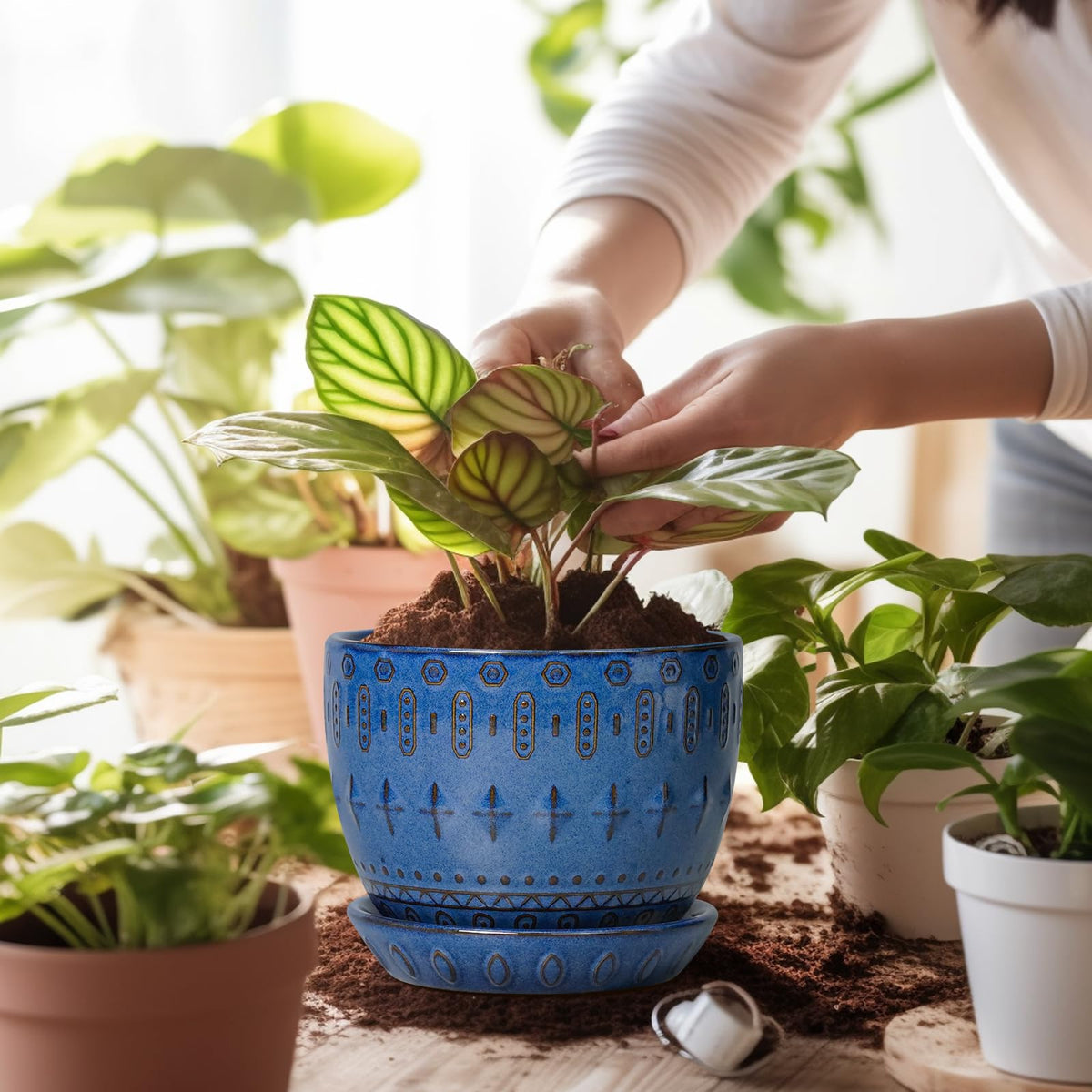 Blue round flower pot by G EPGardening for small plants like succulents.