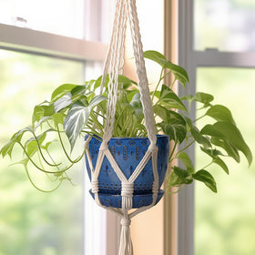 G EPGardening succulent or orchid pot ideal for small plants.