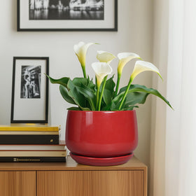 G EPGardening included tray helps keep surfaces clean