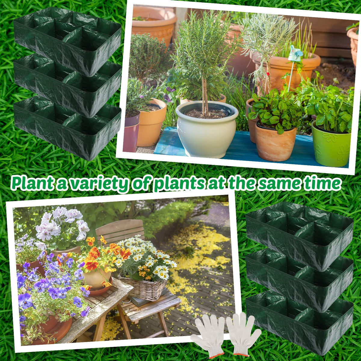 Gerrii 35-gallon planters support tomatoes, potatoes, peppers, and flowers with organized space.