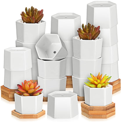Gerrii mini white ceramic succulent pot with wooden tray for desk decor