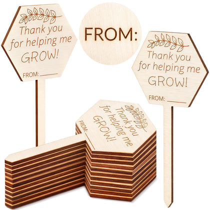 Gerrii hexagon plant tag front engraving for gift labeling
