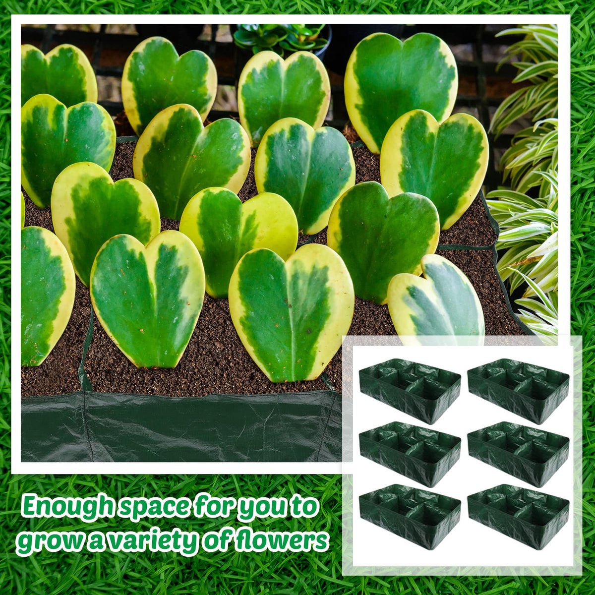 Gerrii rectangular beds suit balconies, patios, or rooftops for fresh herbs and vegetables.