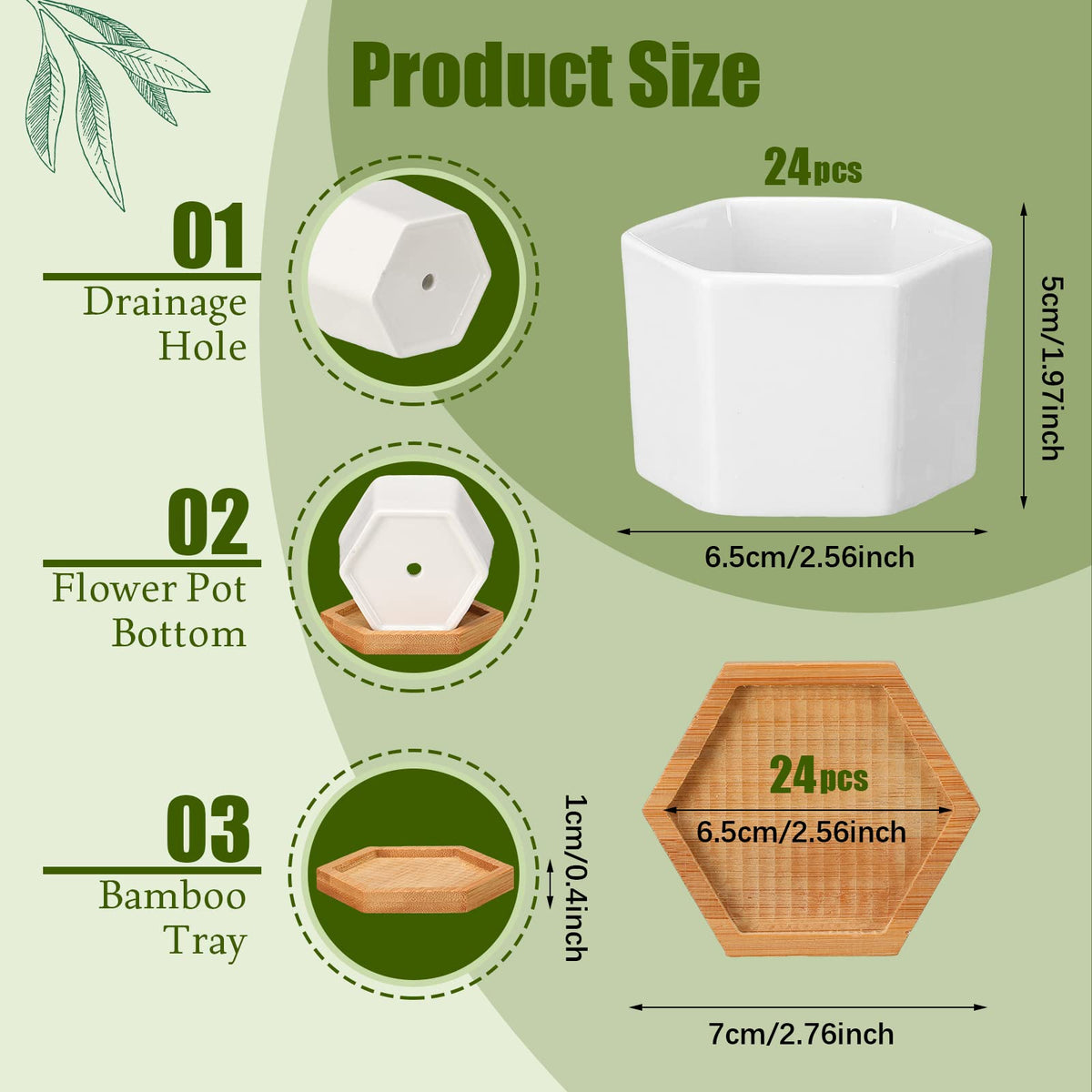 Gerrii succulent pot with drainage holes for healthy soil moisture