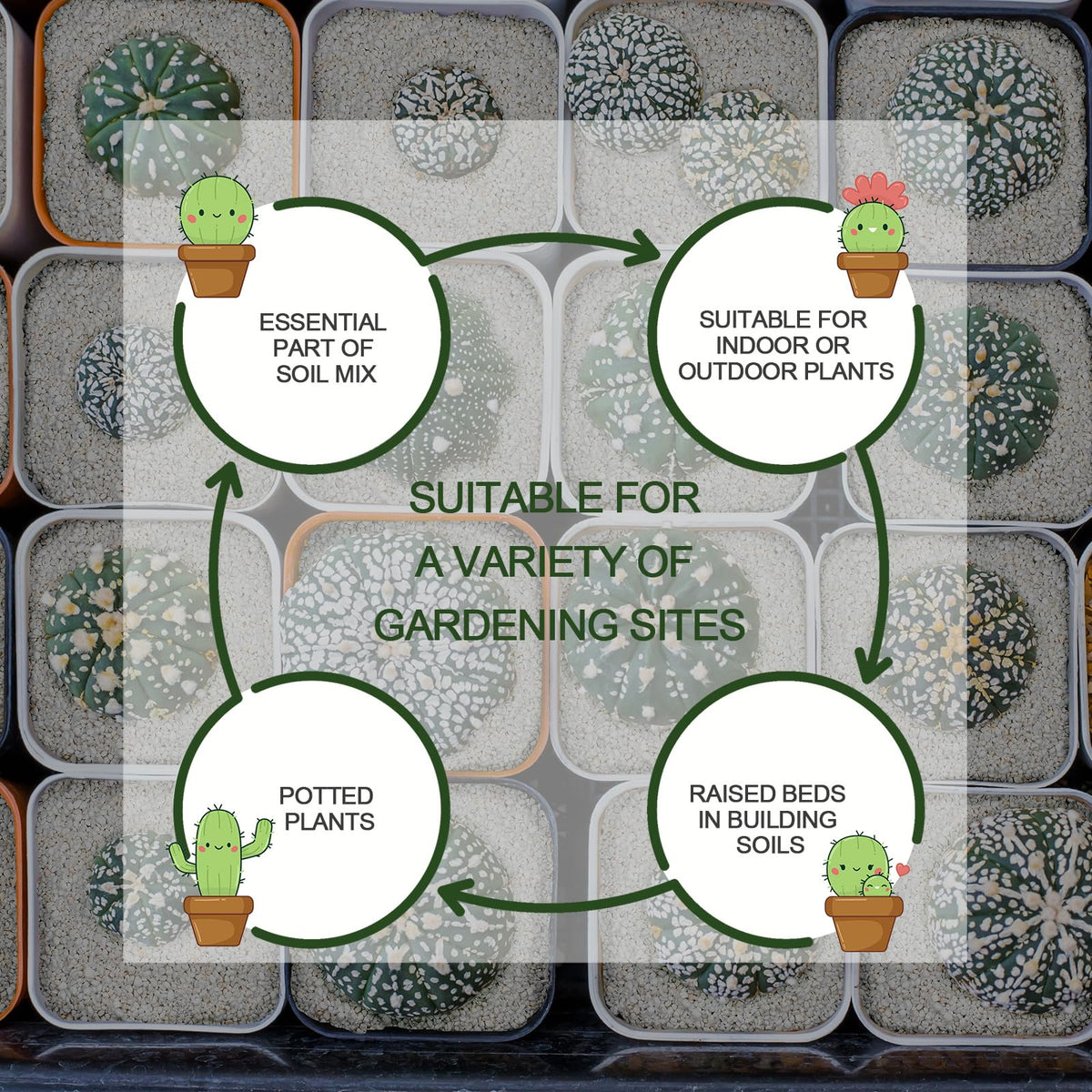 Gerta perlite for indoor plant care and improved soil structure.