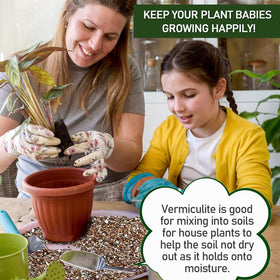 Gerta vermiculite rooting cuttings image highlights moisture retention and early root growth.