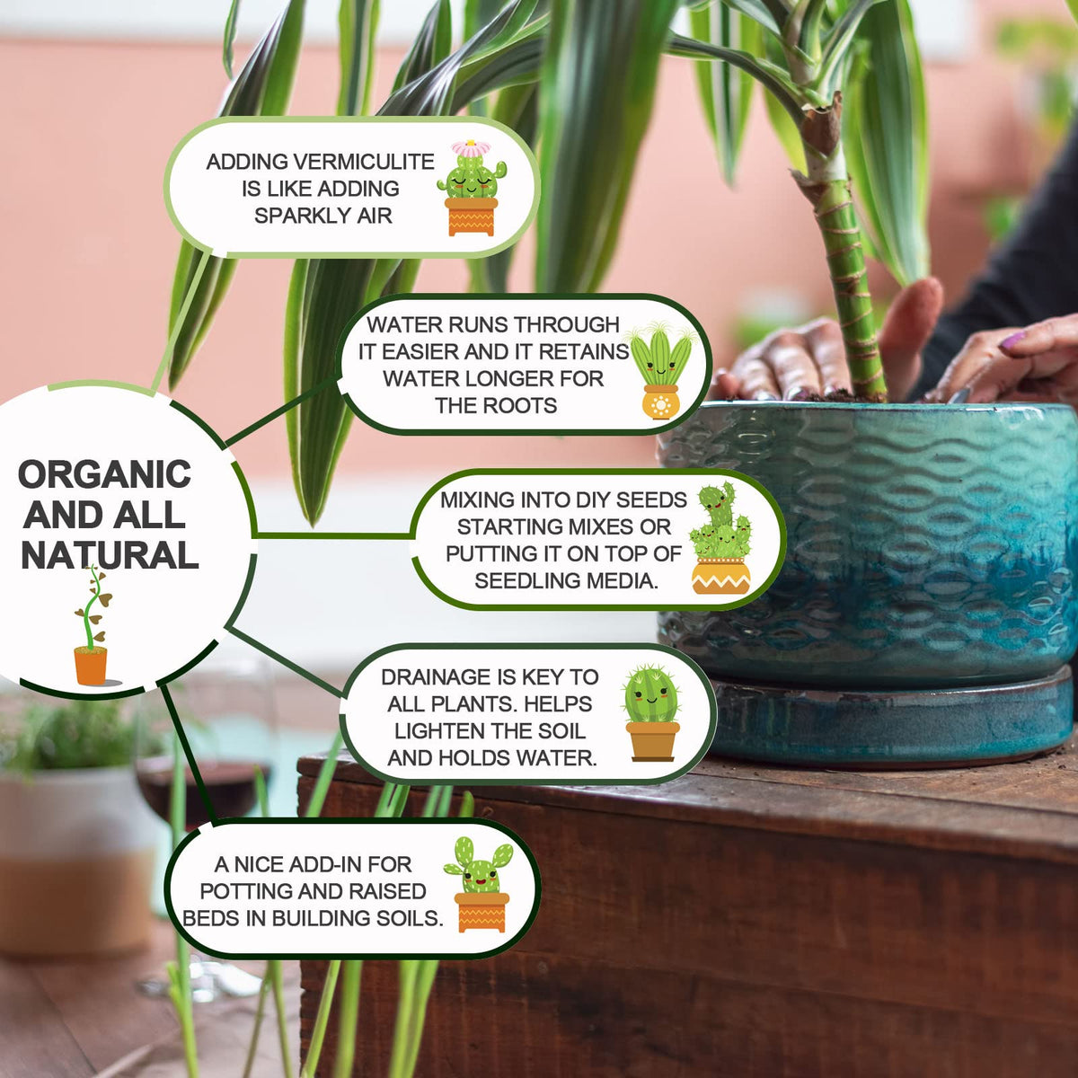 Gerta vermiculite used to improve soil conditioning for houseplants.