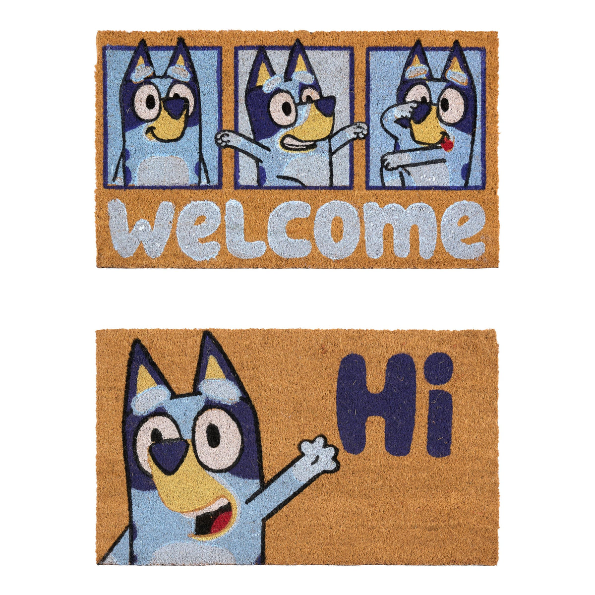 Gertmenian Bluey coir doormat front door—durable scraping helps keep dirt outside.