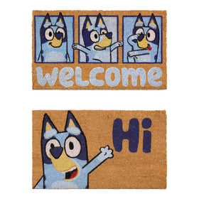 Gertmenian Bluey coir doormat front door—durable scraping helps keep dirt outside.
