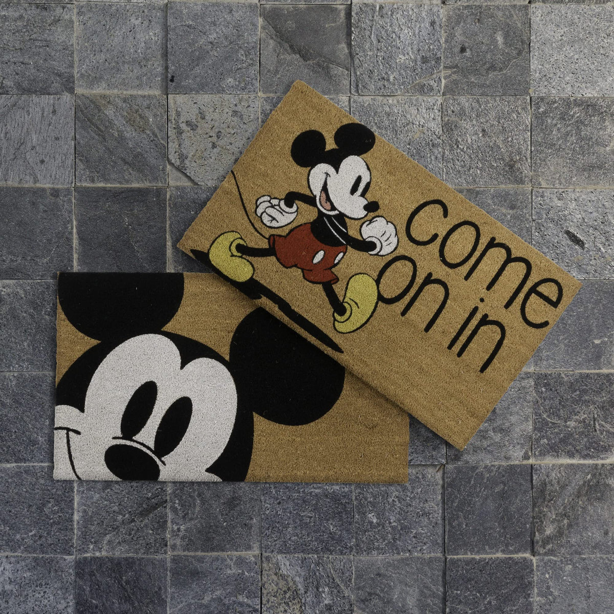 Gertmenian Mickey Mouse doormat at the back door traps dirt and dries quickly.