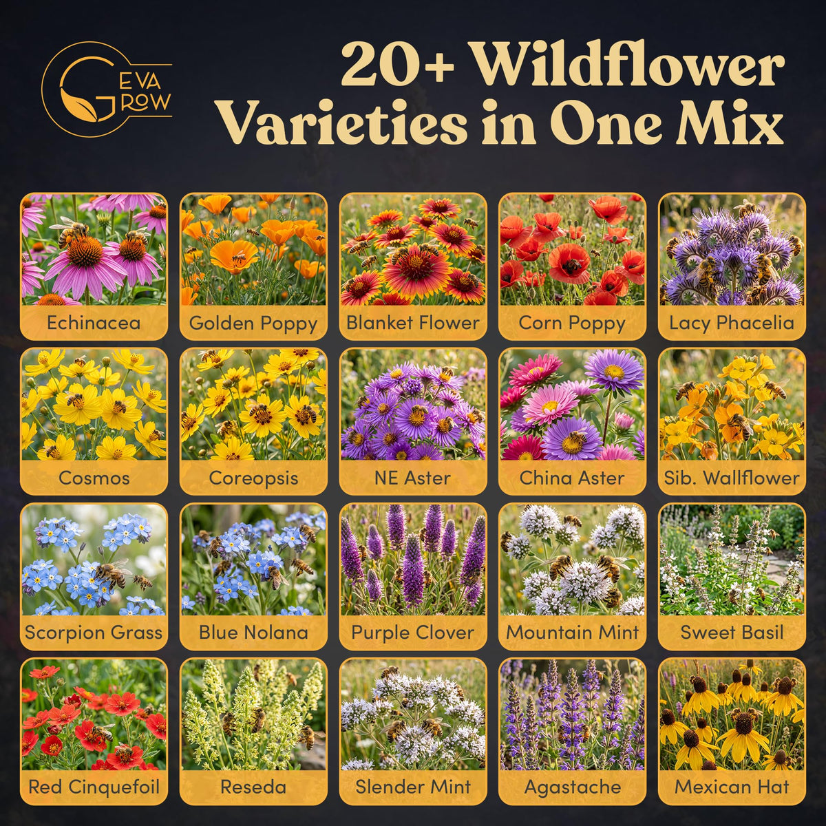 GevaGrow 19-varieties blend suitable for pots and garden beds