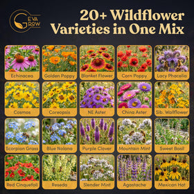 GevaGrow 19-varieties blend suitable for pots and garden beds