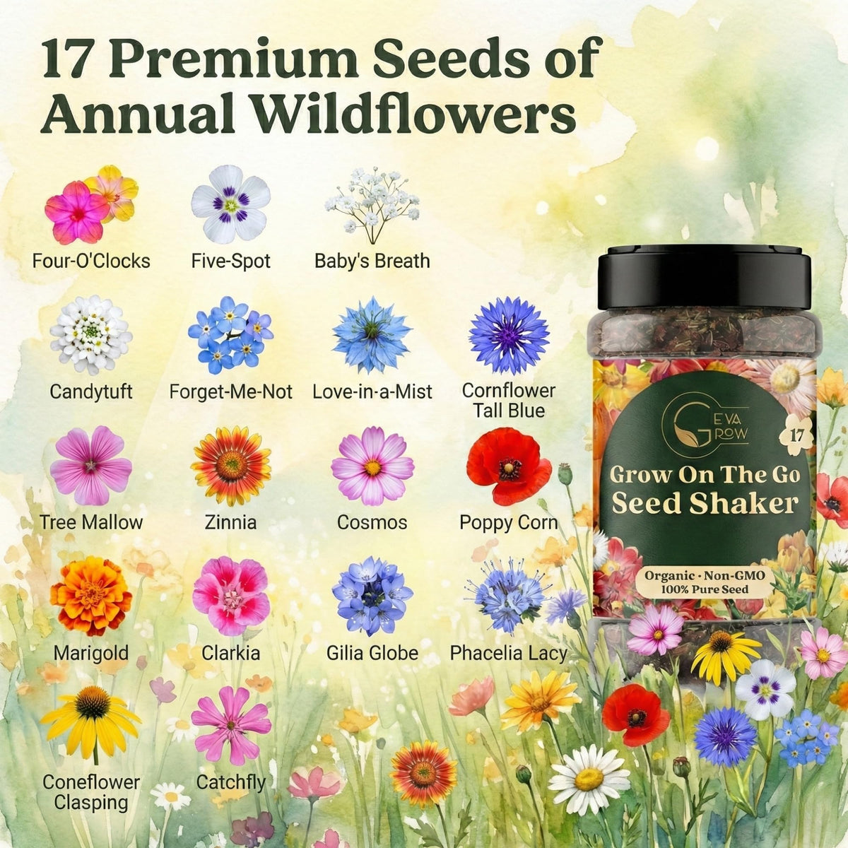GevaGrow annual wildflower mix image highlights quick-season color in your garden.