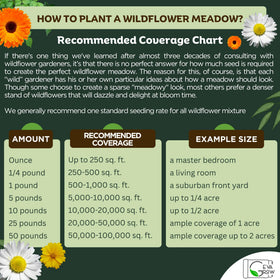 GevaGrow cut-flower friendly seeds support indoor arrangements.