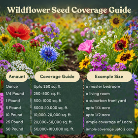 GevaGrow cut flowers from annuals enhance indoor arrangements