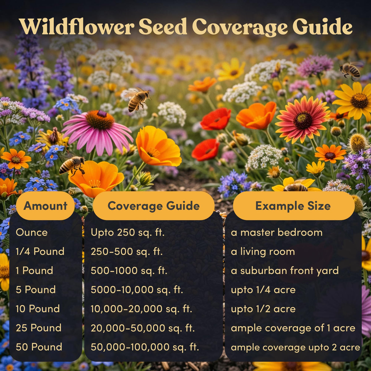GevaGrow forget-me-nots and mountain mint add color to pollinator garden