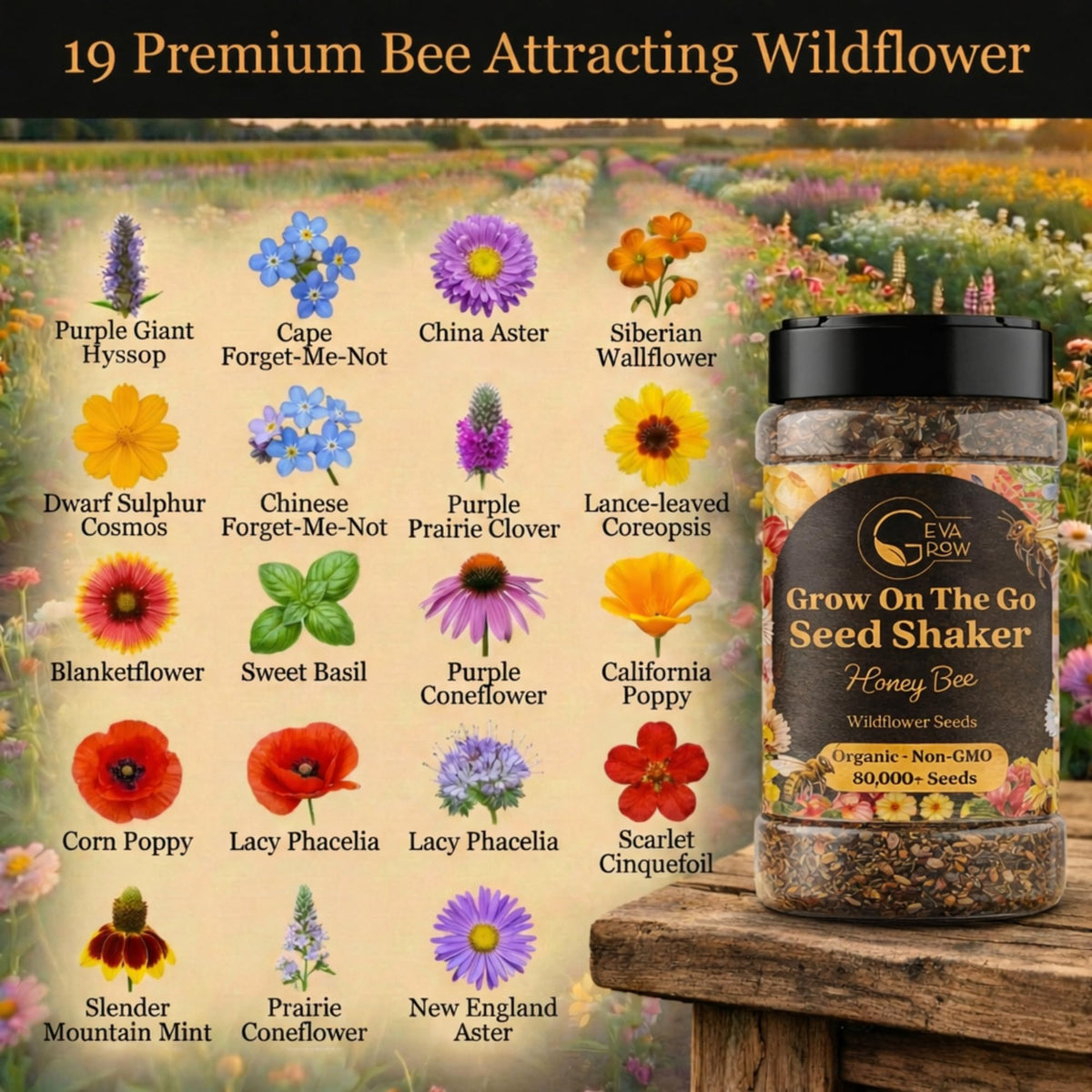 GevaGrow Honey Bee mix seeds in hand for bulk garden planting