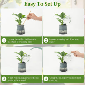 GEWOSI bottom-watering system supports healthy root moisture.