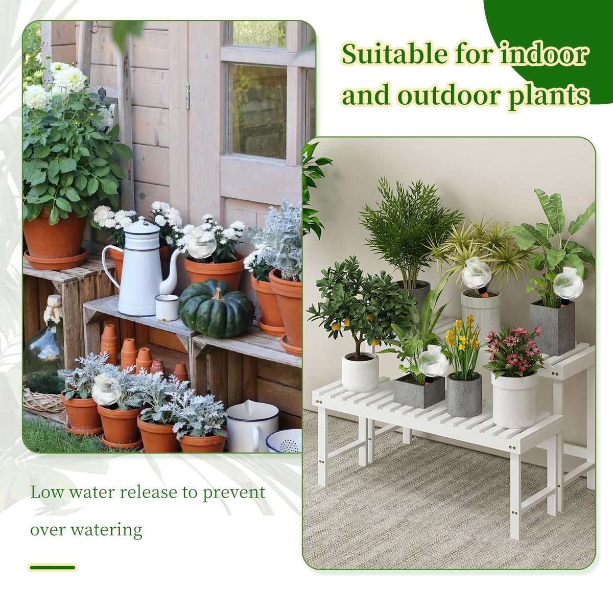 GEWOSI elegant gift pack for plant lovers and decorative gardens