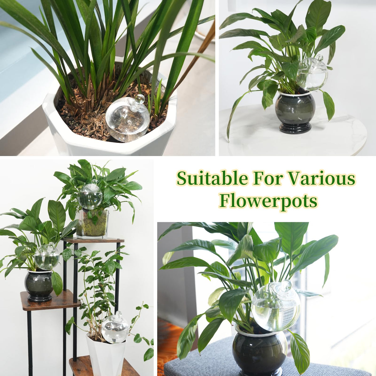 GEWOSI indoor irrigation system helps busy homes maintain greenery.