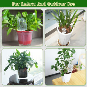 GEWOSI indoor plant setup with hanging plants using self-watering globes