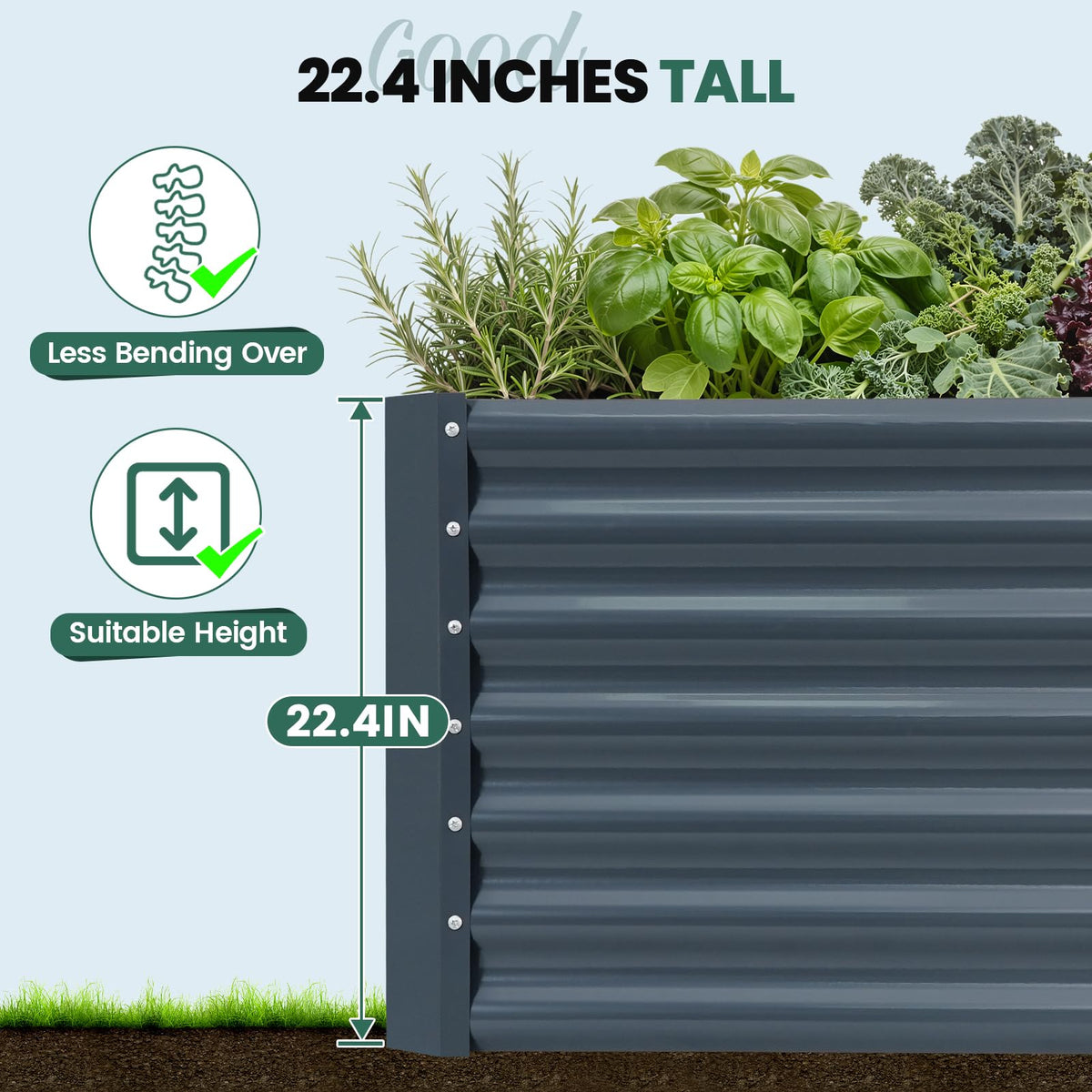 G GOOD GAIN deep-growing-space-22-4-inch-height enables deep-root crops for healthier plants.