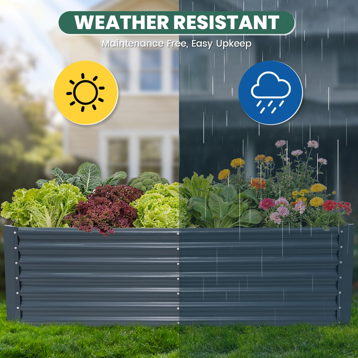 G GOOD GAIN outdoor-garden-visual complements any yard or patio design.