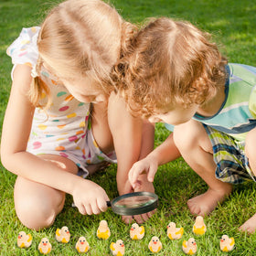 GGSTDDUP cake toppers banana ducks add playful finishing touches.